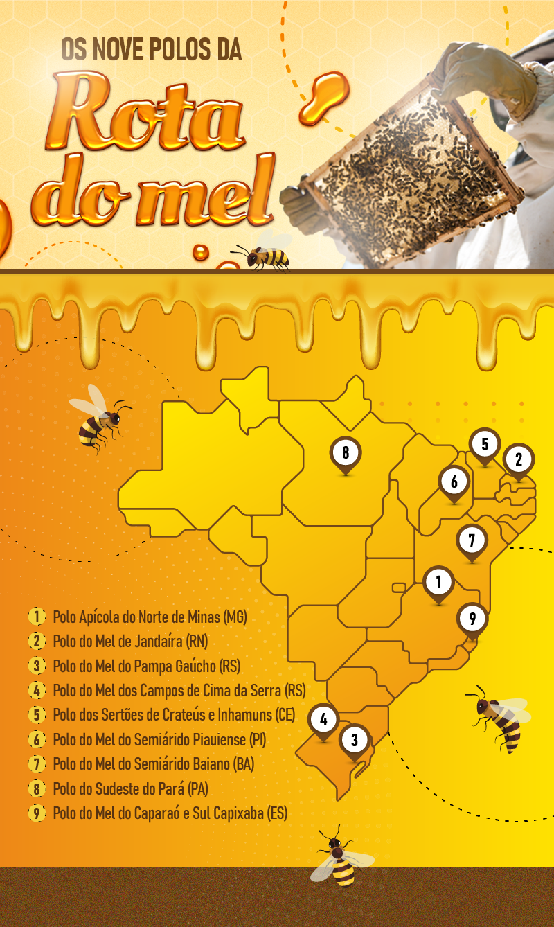 Fonte: SDR