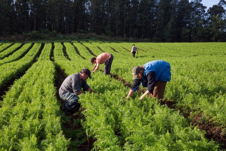 Agricultores Divulgacao MDA.jpeg