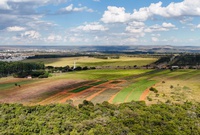 Saiba como sua região pode ser reconhecida como um Polo de Agricultura Irrigada pelo MIDR