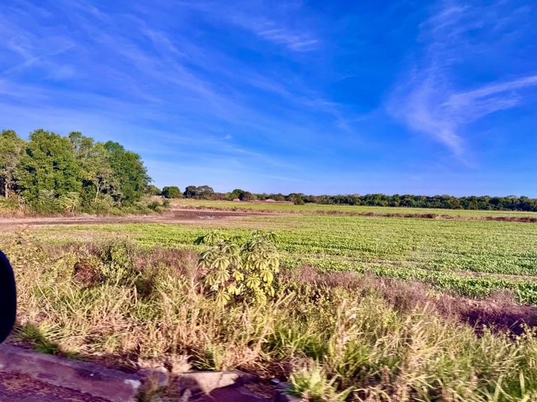 Polo Tocantins1.jpeg