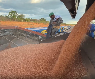 Transnordestina_Sorgo1101b.jpg