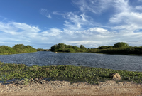 Velho Chico vence 412 km e chega para ficar no Rio Grande do Norte