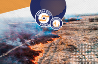 Conheça as medidas de autoproteção que a população deve tomar em casos de incêndios florestais