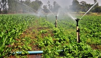 Interessados em elaborar estudos para concessão de projetos de irrigação têm até os próximos dias para se inscrever em edital