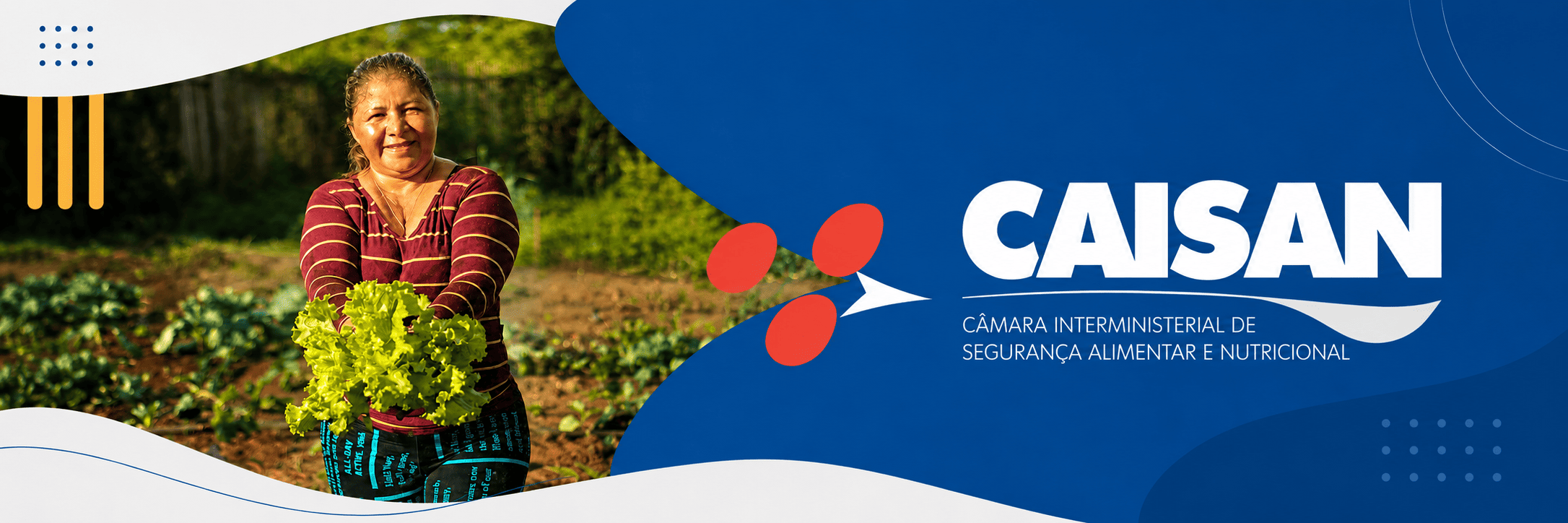 Banner CAISAN