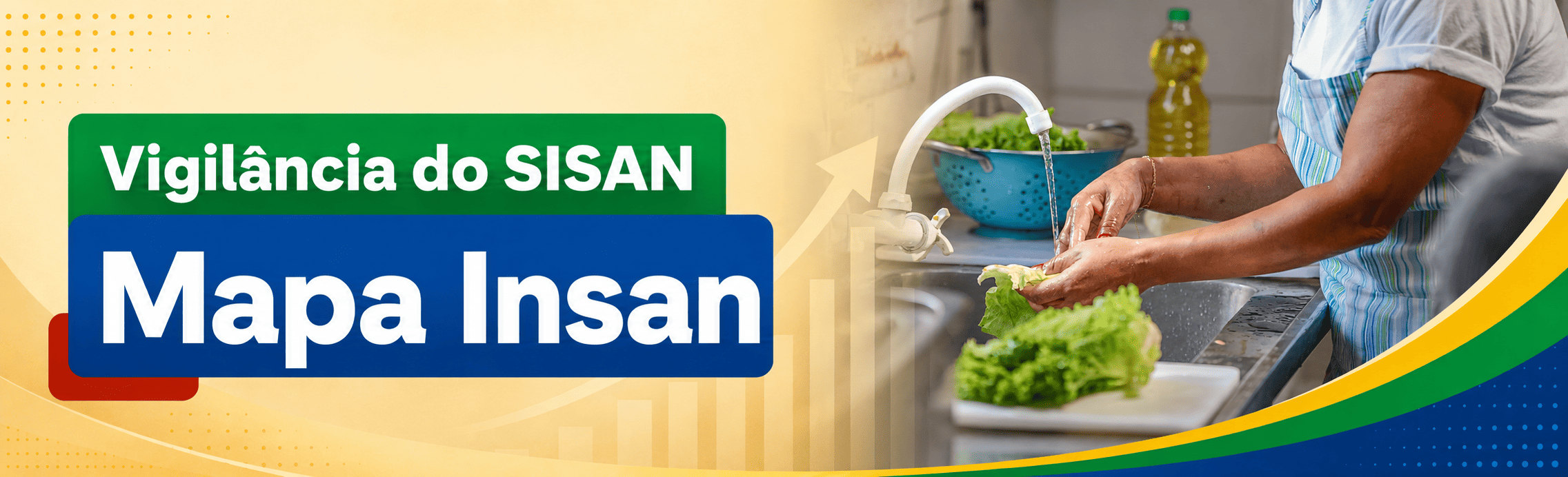 Banner Mapa Insan