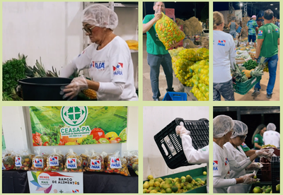 Fotos do Banco de Alimentos CEASA/Pará retiradas da apresentação e do vídeo exibido no evento.
