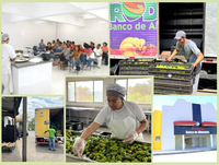 Prodal Banco de Alimentos