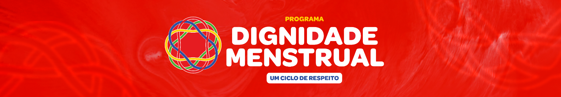 Banner sobre dignidade menstrual