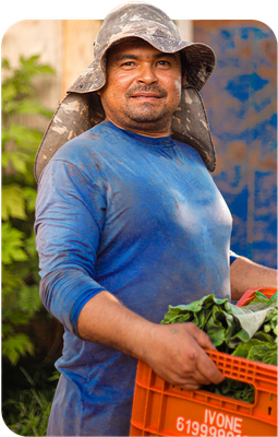 Prancheta 1 copiar.png