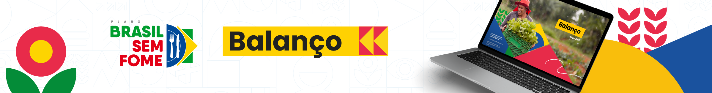 Banner Balanço do Plano Brasil sem Fome