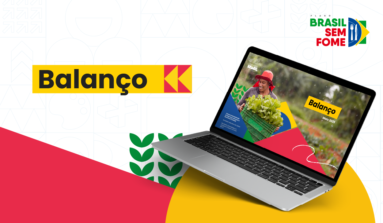 Banner Balanço do Plano Brasil sem Fome