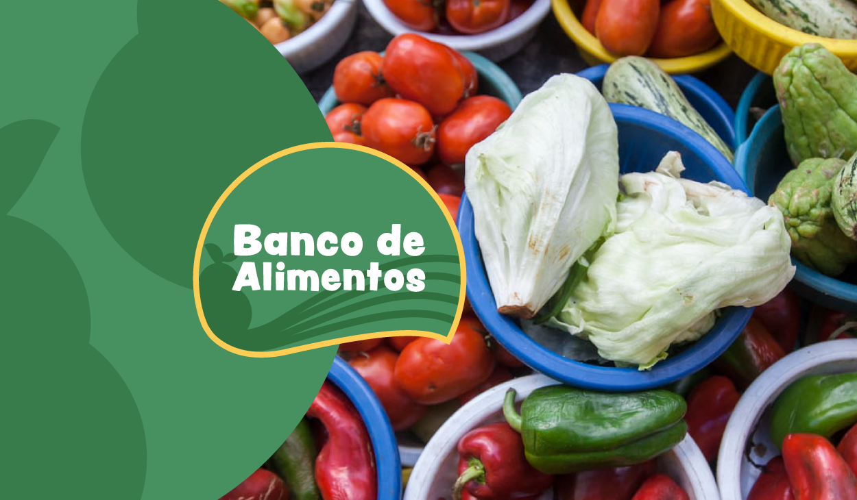 Banco de Alimentos: "Fotografia de uma cesta com alface, pimentões e tomates frescos em um mercado, com um fundo verde e o texto 'Banco de Alimentos' em destaque."