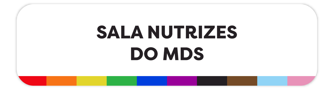 Sala Nutrizes do MDS