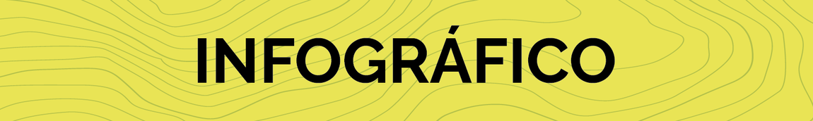 Infográfico em Português