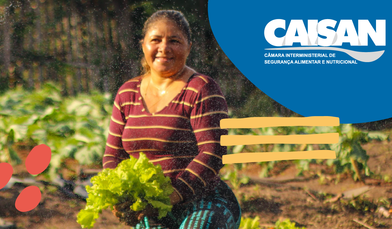 Câmara Interministerial de Segurança Alimentar e Nutricional (Caisan)