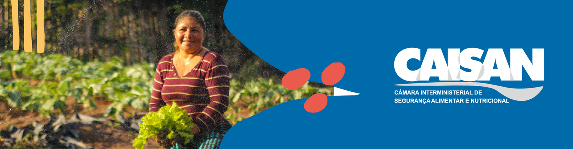 Câmara Interministerial de Segurança Alimentar e Nutricional (Caisan)