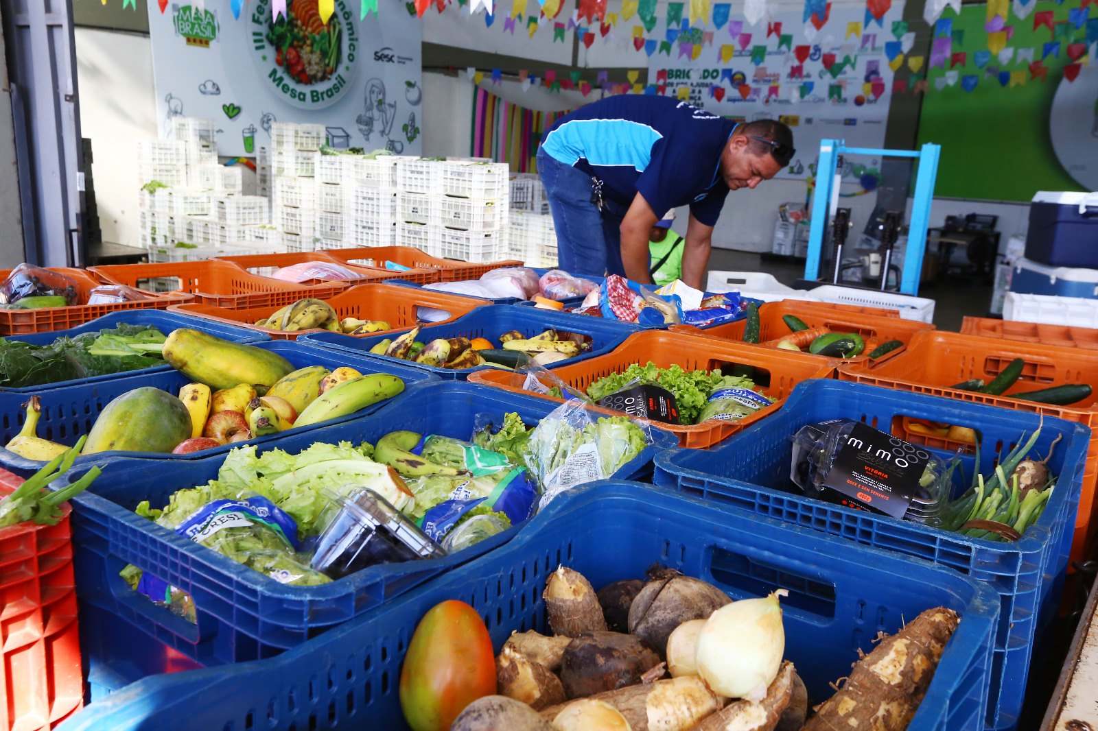 MDS lança plataforma para o Cadastro de Equipamentos de Segurança Alimentar e Nutricional