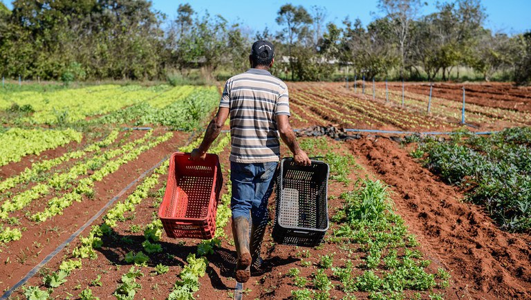 Governo relança PAA com maior volume de acesso para agricultoras e agricultores familiares