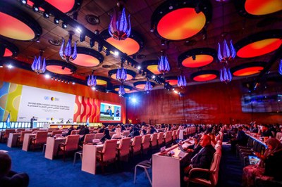 WhatsApp Image 2025-11-05 at 05.45.14 (1).jpeg