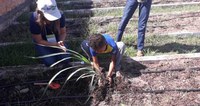 500 crianças e adolescentes do Piauí são beneficiados com hortas pedagógicas