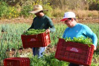 Aliança Global contra a Fome e a Pobreza anuncia primeiros integrantes do Conselho de Campeões