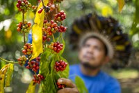 Acordo permitirá realizar diagnóstico dos sistemas alimentares dos povos indígenas