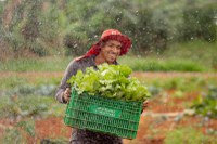 Aliança Global contra a Fome e a Pobreza é prioridade do Brasil na presidência do G20