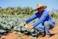 Autoridades de desenvolvimento social do Mercosul conhecem a dinâmica de funcionamento do Programa de Aquisição de Alimentos