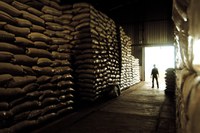 Nove propostas de bancos de alimentos são selecionadas em edital de modernização