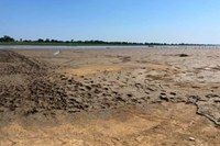 Bolsa Família e Auxílio Gás são unificados em quatro municípios do Paraná e medida chega a 830 cidades em outubro