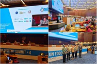 Brasil destaca avanços na governança dos sistemas alimentares urbanos durante Cúpula da ONU