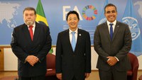 Brasil renova parceria com a Organização das Nações Unidas para Agricultura e Alimentação (FAO)