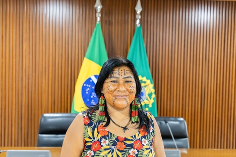 Henrique Raynal CC.jpg