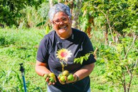 Com apoio do MDS, Horta Orgânica Comunitária Girassol garante produção de alimentos saudáveis no DF