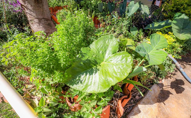 Foto: André Oliveira / MDS