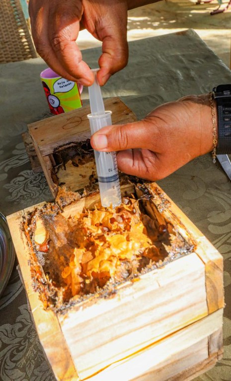 Foto: André Oliveira / MDS