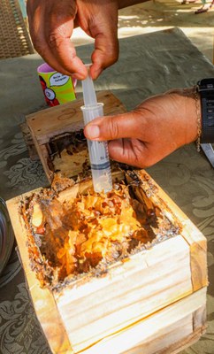 Foto: André Oliveira / MDS