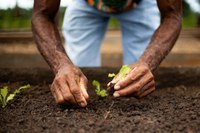 Com recursos do PAA, decisão do grupo gestor do programa vai melhorar fluxo entre demanda e oferta de sementes