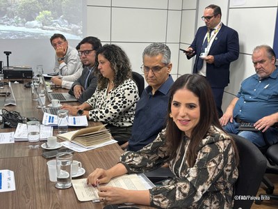 Foto: Palova Brito / FAO