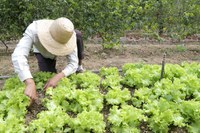 Comunidades Terapêuticas e grupos de apoio dão suporte psicológico durante distanciamento social