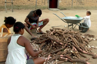 Conselho Nacional de Assistência Social publica diretrizes para atendimento a Povos Indígenas