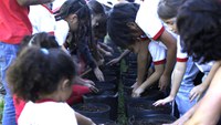 Curso Gestão de Hortas Pedagógicas tem sucesso de inscrições: duas mil pessoas, entre gestores, educadores e comunidade, já estão em aulas