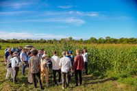 Delegações internacionais conhecem iniciativas de incentivo à agricultura familiar no Piauí