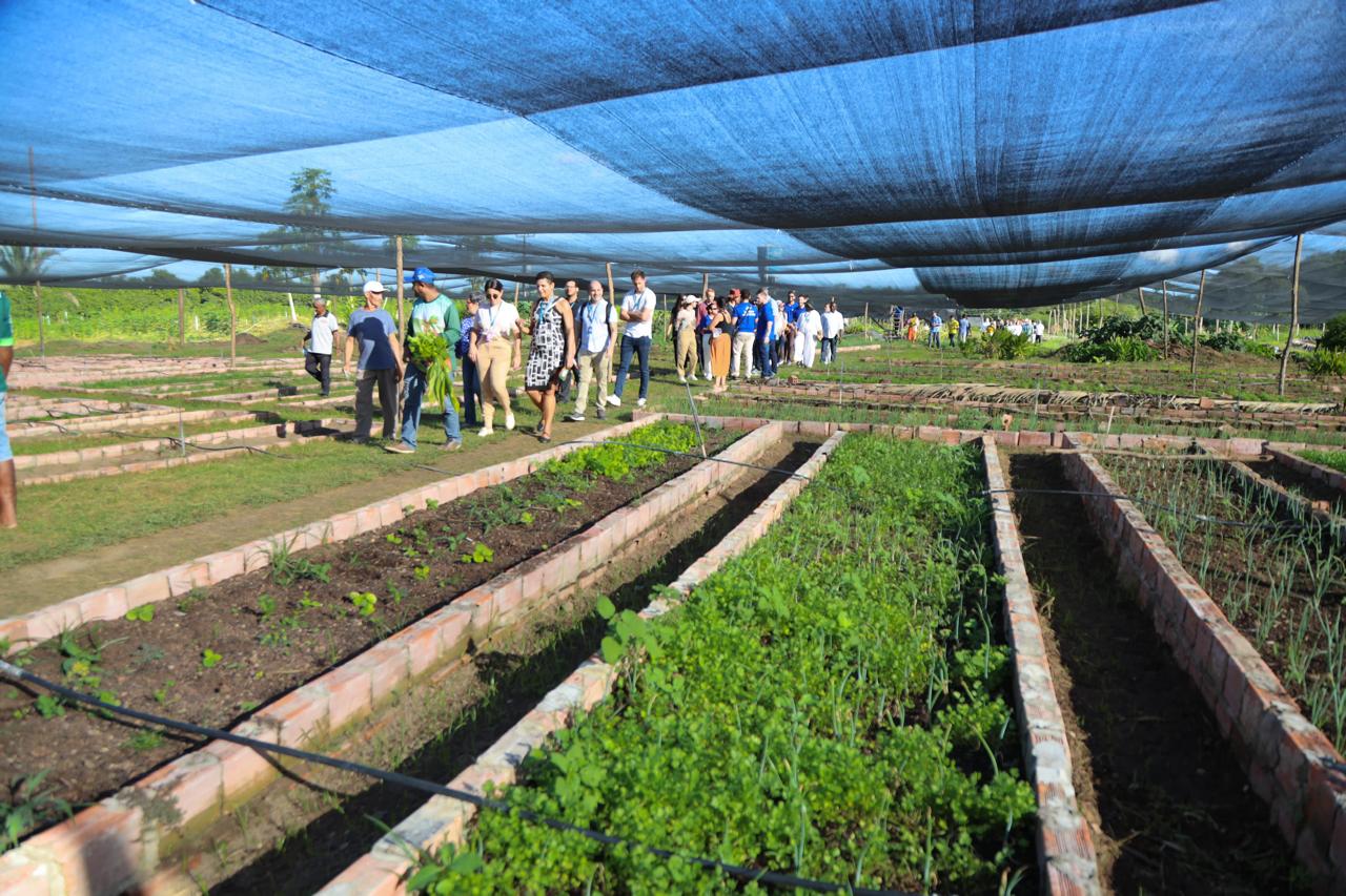 Após debater a arquitetura da Aliança Global contra Fome e a Pobreza, delegados visitaram horta comunitária do povoado Ave Verde e a Quitanda da Agricultura Familiar na UFPI