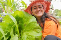 Dia Mundial da Alimentação: promoção da segurança alimentar e nutricional  é fundamental para tirar o Brasil do Mapa da Fome