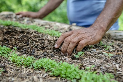 SAN_Agricultura_Familiar_visita_RN_São_Miguel_do_Gostoso_RZ_ (14).jpg