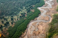 MDS unifica pagamento do Bolsa Família e Auxílio Gás em 686 municípios