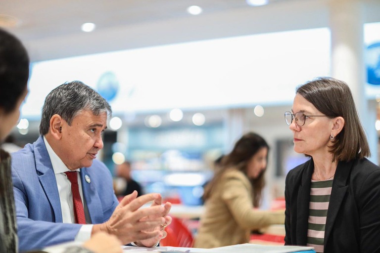 Reunião com a  diretora-geral para Desenvolvimento Sustentável e Clima do Ministério de Cooperação Econômica e Desenvolvimento da Alemanha, Birgit Pickel