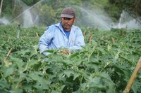 Em preparação para Cúpula da ONU, Governo Federal promove debates sobre segurança alimentar e produção e consumo sustentável
